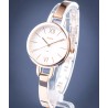 FOSSIL  ES4391